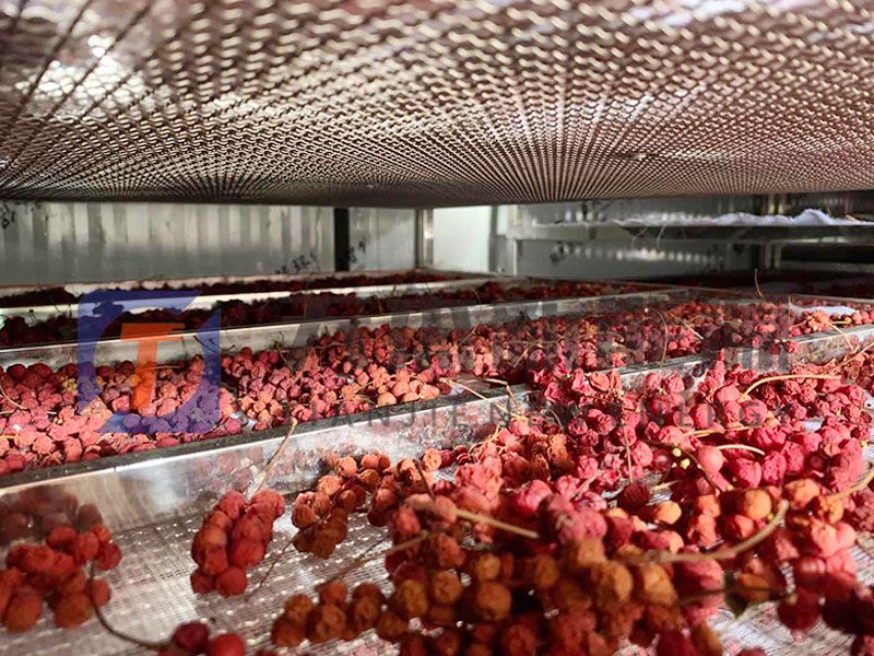 五味子烘干機(jī)烘干工藝